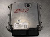Injection control unit/module