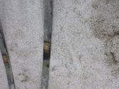 Blattfeder hinten