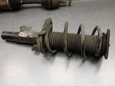 Front shock absorber with coil spring