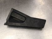 Manecilla externa puerta delantera