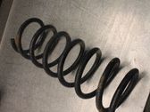 Muelle espiral trasero