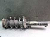 Amortiguador delantero con muelle espiral