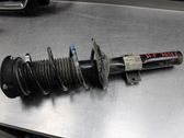 Front shock absorber with coil spring