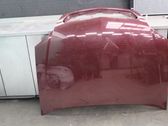 Engine bonnet/hood