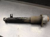 Stoßdämpfer hinten