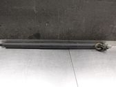 Tailgate/trunk strut/damper