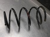 Front coil spring