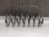 Muelle espiral trasero