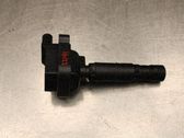 Bobine d'allumage haute tension