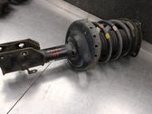Front shock absorber with coil spring