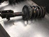 Front shock absorber with coil spring