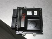 Injection control unit/module