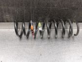 Muelle espiral trasero
