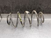 Muelle espiral trasero