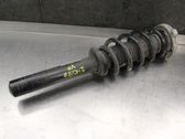 Front shock absorber with coil spring