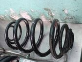 Muelle espiral trasero