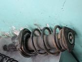 Front shock absorber with coil spring