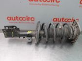 Front shock absorber with coil spring