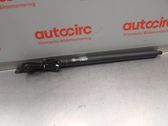 Tailgate/trunk strut/damper