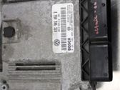 Injection control unit/module