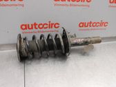 Front shock absorber with coil spring