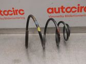 Front coil spring
