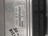 Injection control unit/module