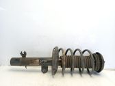 Amortiguador delantero con muelle espiral