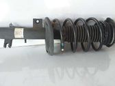 Amortiguador delantero con muelle espiral