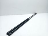 Tailgate/trunk strut/damper