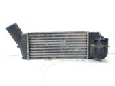 Intercooler radiator