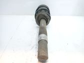Front shock absorber with coil spring