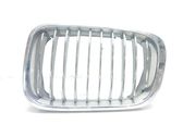 Front grill