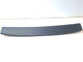 Dashboard trim
