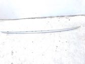 Dachreling Dachgepäckträger