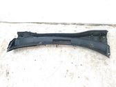 Windshield trim