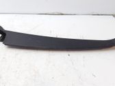 Dashboard trim