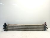 Radiador intercooler