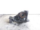Hinterachsdifferential