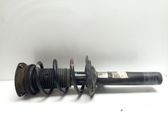 Front shock absorber with coil spring