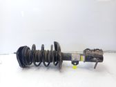 Amortiguador delantero con muelle espiral