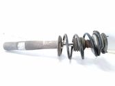 Front shock absorber with coil spring