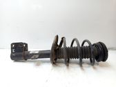 Stoßdämpfer Federbein