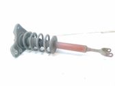 Amortiguador delantero con muelle espiral