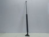 Tailgate/trunk strut/damper