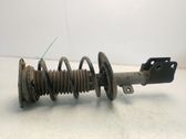 Amortiguador delantero con muelle espiral
