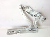 Tailgate/trunk/boot hinge