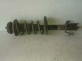 Front shock absorber with coil spring