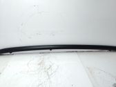 Dashboard trim