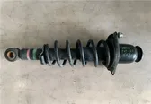 Rear shock absorber with coil spring